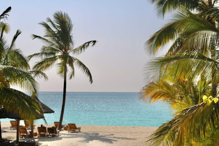 Palm-lined beach with sun loungers overlooking turquoise water, Zanzibar